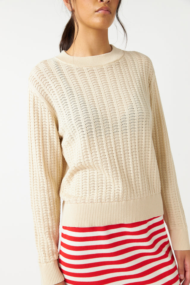 Scallop jumper