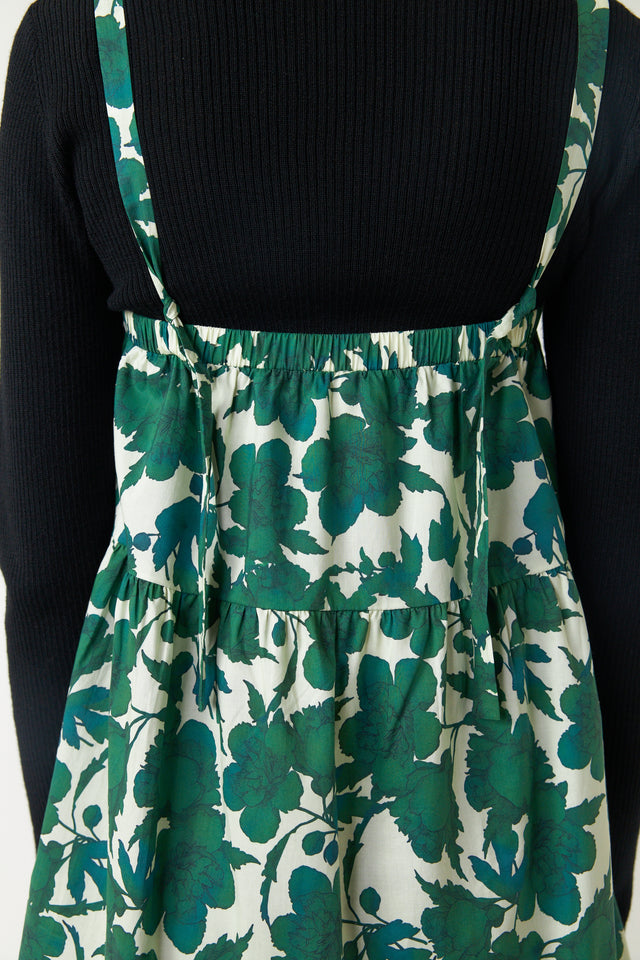 Wild rose skirt dress