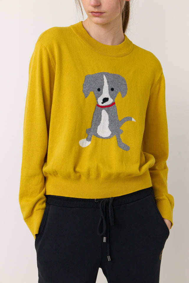 Lucky jumper