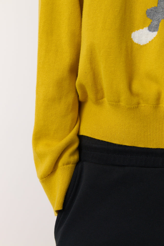 Lucky jumper