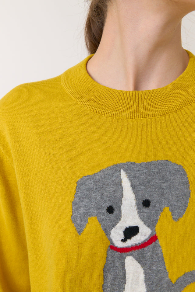 Lucky jumper