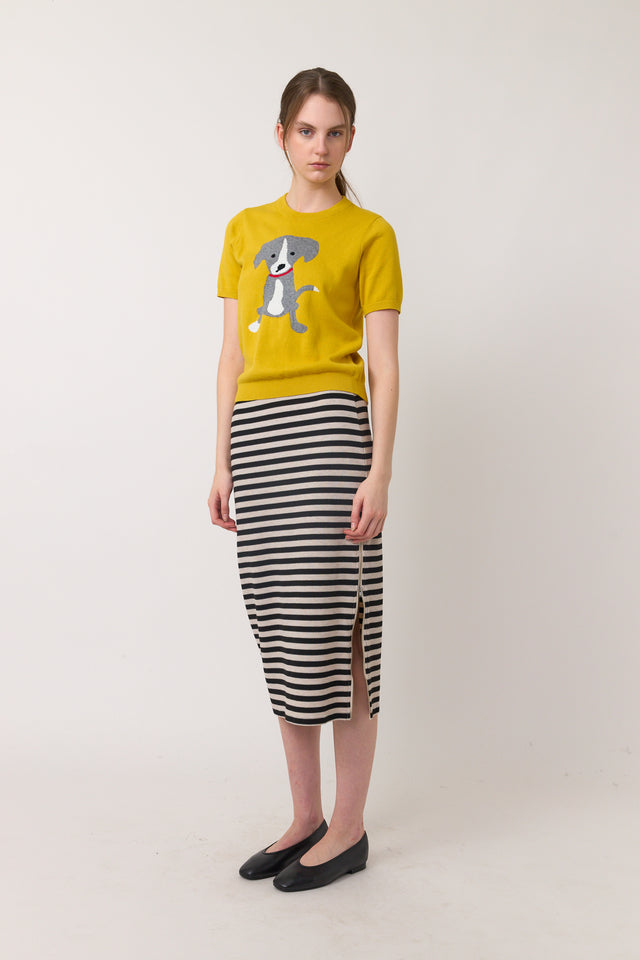 Stripey skirt