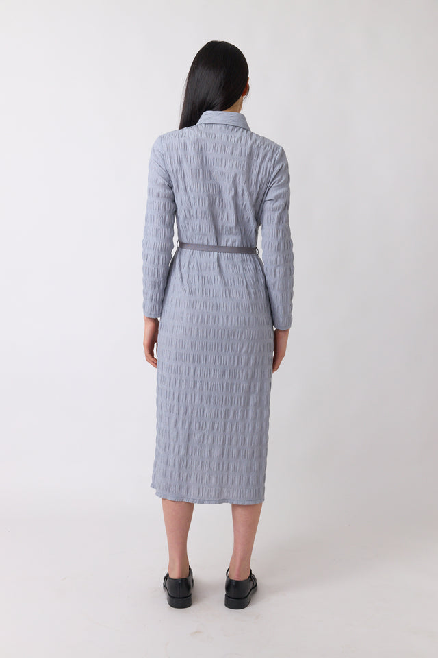 Petite check shirt dress