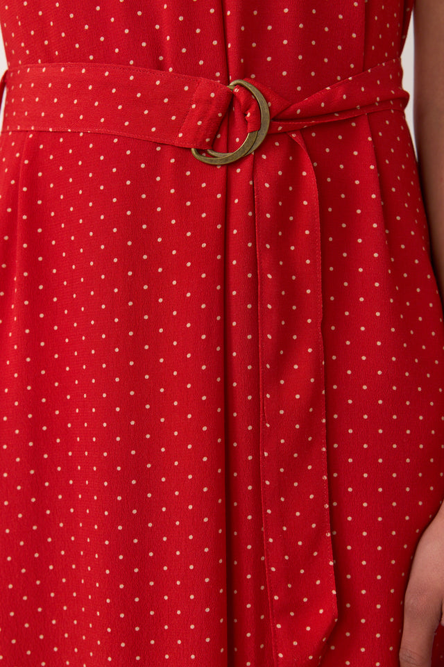 Pins maxi dress