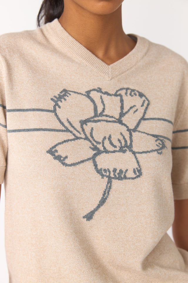 Sketch top