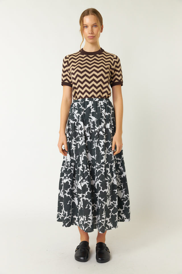 Wild rose skirt dress